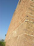 314ŵ̨