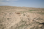 ũ峤