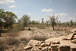 ׯʧ1