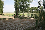 ׯʧ1