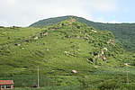 ڶ1
