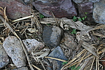層