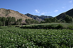빵峤