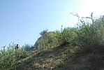 ܹ6