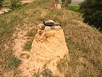 ش峤