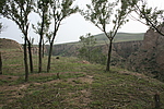 ׯ1