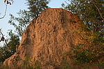 山̨