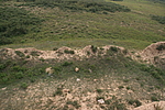 Ą̇
