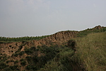 ŻҤ