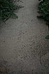 ţ層